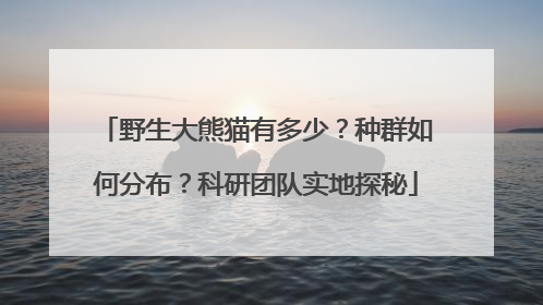 野生大熊猫有多少？种群如何分布？科研团队实地探秘