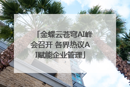 金蝶云苍穹AI峰会召开 各界热议AI赋能企业管理