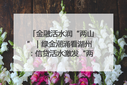 金融活水润“两山”｜绿金潮涌看湖州：信贷活水激发“两山”转化势能