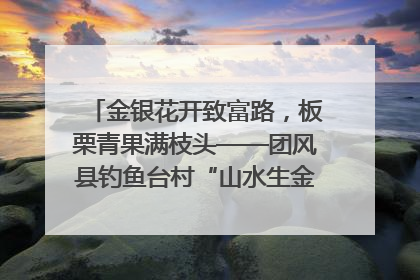 金银花开致富路，板栗青果满枝头——团风县钓鱼台村“山水生金”谱写共富新篇章