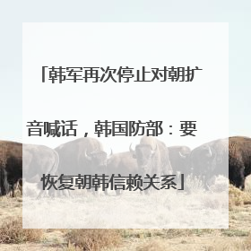 韩军再次停止对朝扩音喊话，韩国防部：要恢复朝韩信赖关系