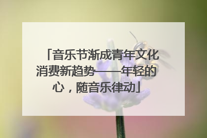 音乐节渐成青年文化消费新趋势——年轻的心，随音乐律动