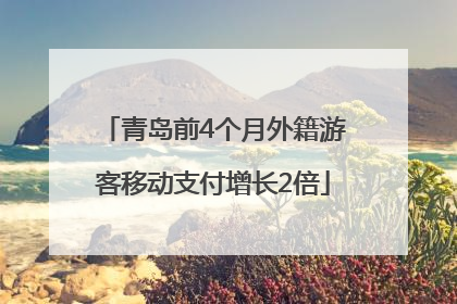 青岛前4个月外籍游客移动支付增长2倍