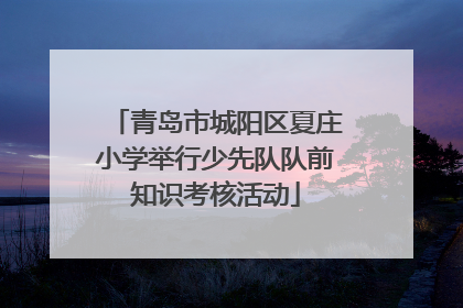 青岛市城阳区夏庄小学举行少先队队前知识考核活动