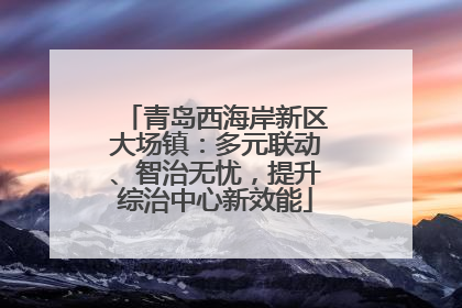 青岛西海岸新区大场镇：多元联动、智治无忧，提升综治中心新效能