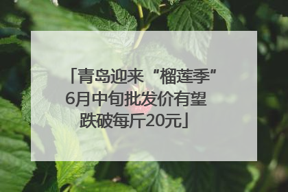 青岛迎来“榴莲季” 6月中旬批发价有望跌破每斤20元