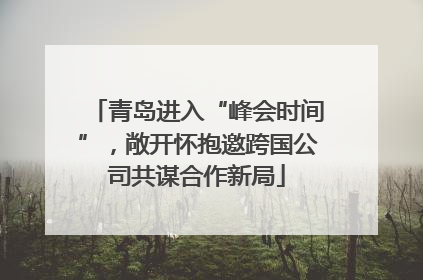 青岛进入“峰会时间”，敞开怀抱邀跨国公司共谋合作新局