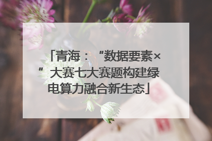 青海：“数据要素×”大赛七大赛题构建绿电算力融合新生态