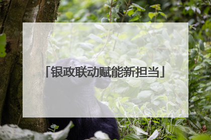 银政联动赋能新担当