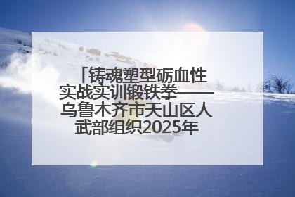 铸魂塑型砺血性 实战实训锻铁拳——乌鲁木齐市天山区人武部组织2025年度民兵集中轮训