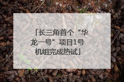 长三角首个“华龙一号”项目1号机组完成热试