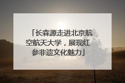 长森源走进北京航空航天大学，展现红参非遗文化魅力