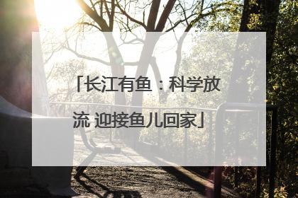 长江有鱼：科学放流 迎接鱼儿回家