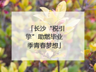 长沙“税引擎”助燃毕业季青春梦想