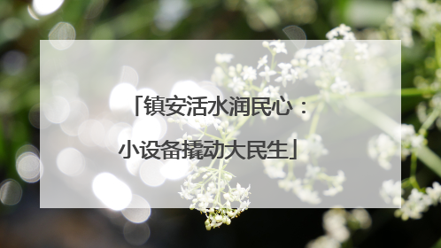 镇安活水润民心：小设备撬动大民生