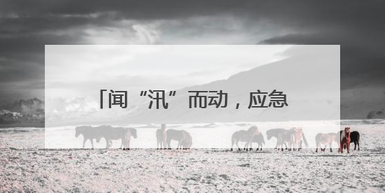 闻“汛”而动，应急先行——河口区应急局开展2025年水上应急救援实战演练