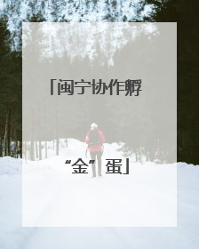 闽宁协作孵“金”蛋