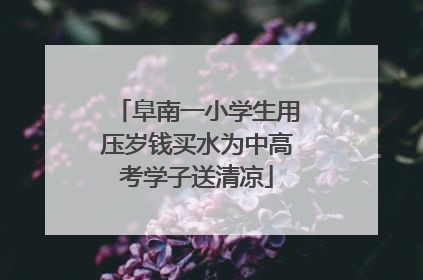 阜南一小学生用压岁钱买水为中高考学子送清凉