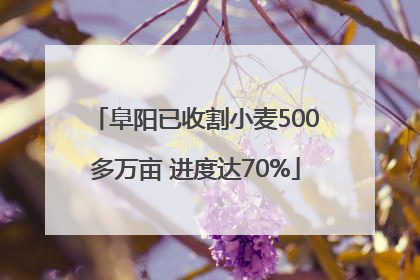 阜阳已收割小麦500多万亩 进度达70%