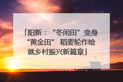 阳新：“冬闲田”变身“黄金田” 稻麦轮作绘就乡村振兴新篇章