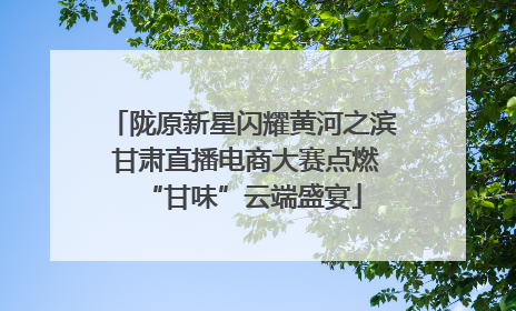 陇原新星闪耀黄河之滨 甘肃直播电商大赛点燃“甘味”云端盛宴