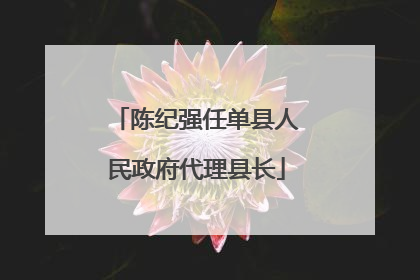 陈纪强任单县人民政府代理县长