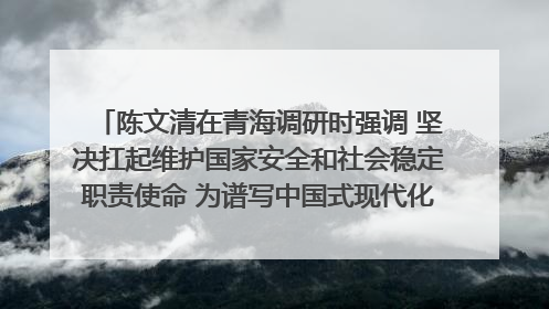 陈文清在青海调研时强调 坚决扛起维护国家安全和社会稳定职责使命 为谱写中国式现代化青海篇章贡献政法力量