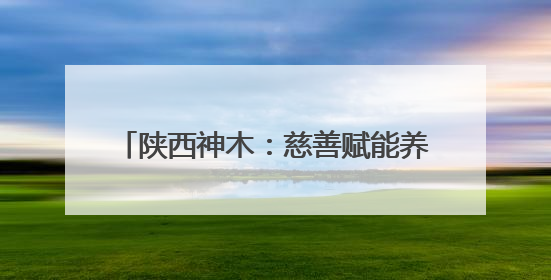 陕西神木：慈善赋能养老 绘就村社幸福图景