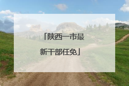陕西一市最新干部任免