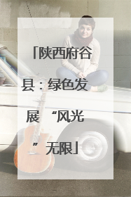 陕西府谷县：绿色发展 “风光”无限