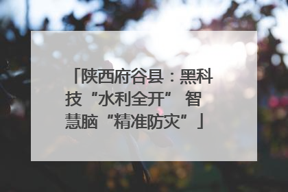 陕西府谷县：黑科技“水利全开” 智慧脑“精准防灾”