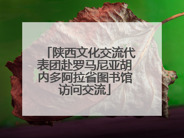 陕西文化交流代表团赴罗马尼亚胡内多阿拉省图书馆访问交流