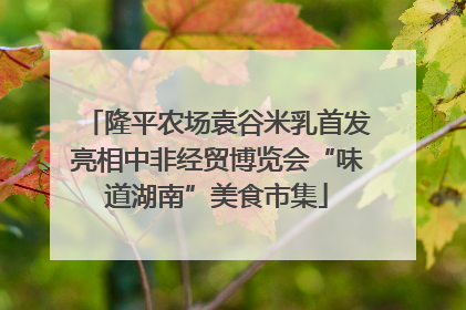 隆平农场袁谷米乳首发亮相中非经贸博览会“味道湖南”美食市集