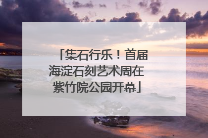 集石行乐！首届海淀石刻艺术周在紫竹院公园开幕