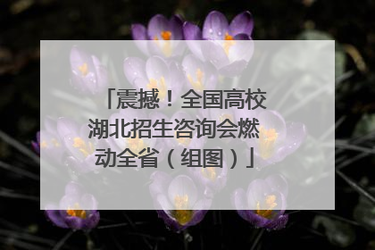 震撼！全国高校湖北招生咨询会燃动全省（组图）