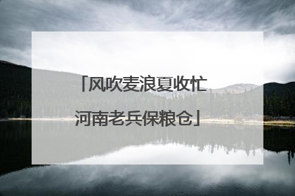 风吹麦浪夏收忙 河南老兵保粮仓