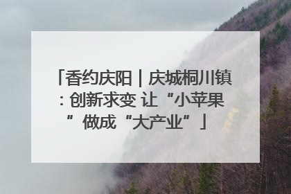 香约庆阳｜庆城桐川镇：创新求变 让“小苹果”做成“大产业”