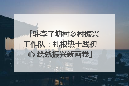 驻李子塘村乡村振兴工作队：扎根热土践初心 绘就振兴新画卷
