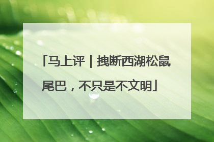 马上评｜拽断西湖松鼠尾巴，不只是不文明