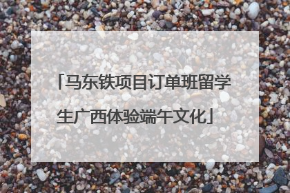 马东铁项目订单班留学生广西体验端午文化