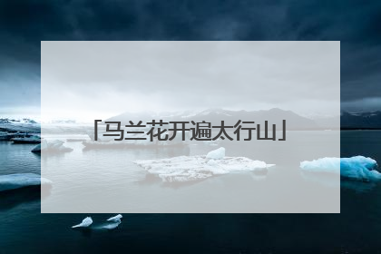 马兰花开遍太行山