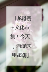 龙舟赛+文化市集！今天，海淀这里超嗨