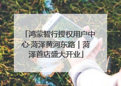 鸿蒙智行授权用户中心·菏泽黄河东路｜菏泽首店盛大开业