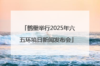 鹤壁举行2025年六五环境日新闻发布会