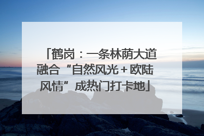 鹤岗：一条林荫大道融合“自然风光＋欧陆风情”成热门打卡地
