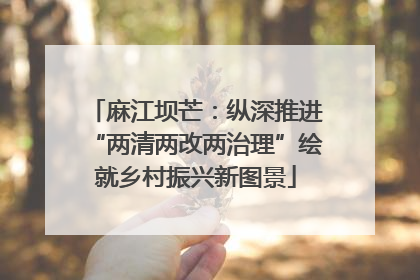麻江坝芒：纵深推进“两清两改两治理”绘就乡村振兴新图景