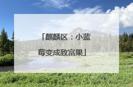 麒麟区：小蓝莓变成致富果