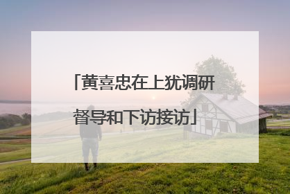 黄喜忠在上犹调研督导和下访接访