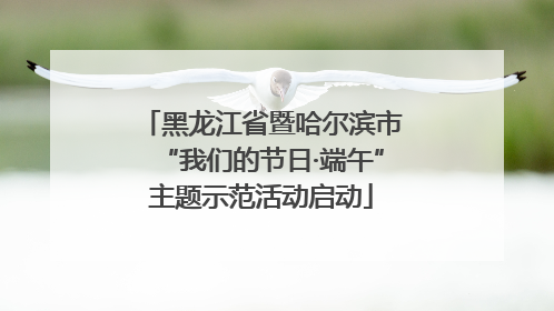 黑龙江省暨哈尔滨市“我们的节日·端午”主题示范活动启动