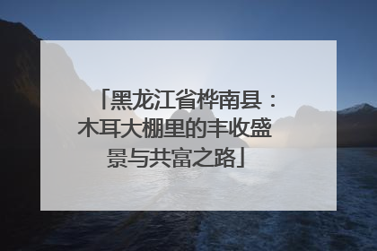 黑龙江省桦南县：木耳大棚里的丰收盛景与共富之路